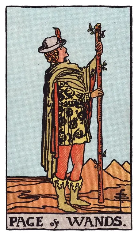 Pajem de Paus